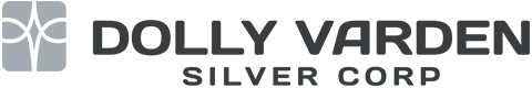 Dolly Varden Silver Logo