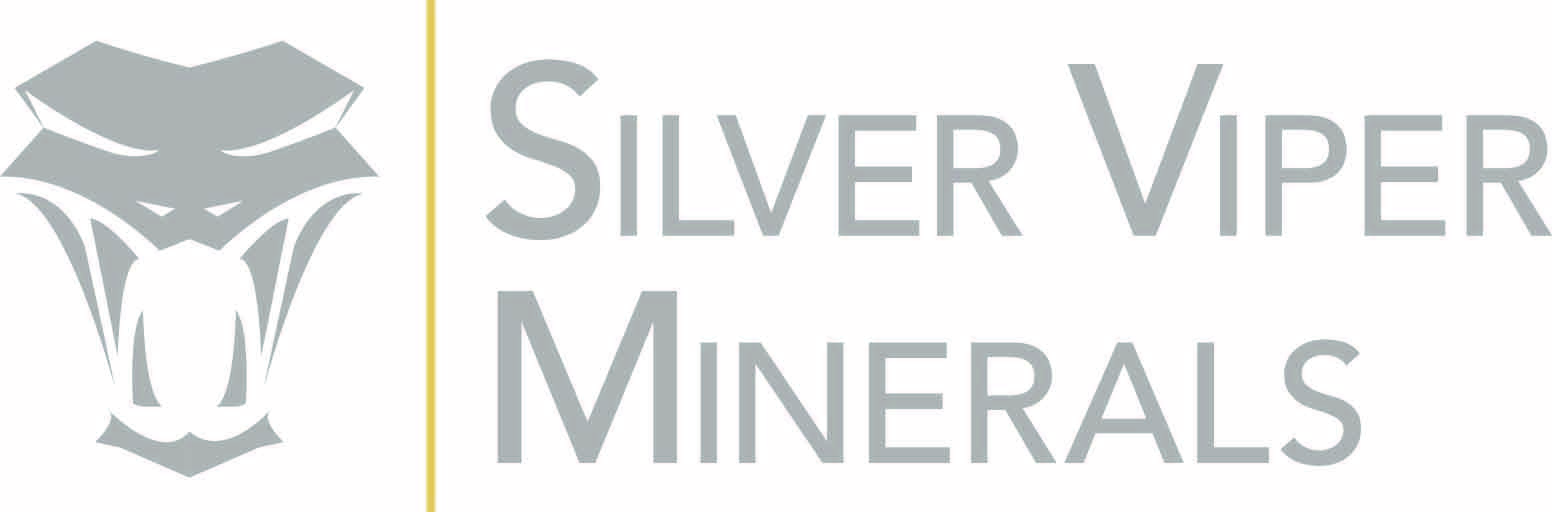 Silver Viper Minerals Logo