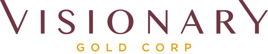 Visionary Gold Logo